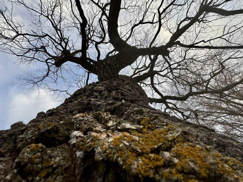 Экватор апреля самарцы встретят с почти летней погодой